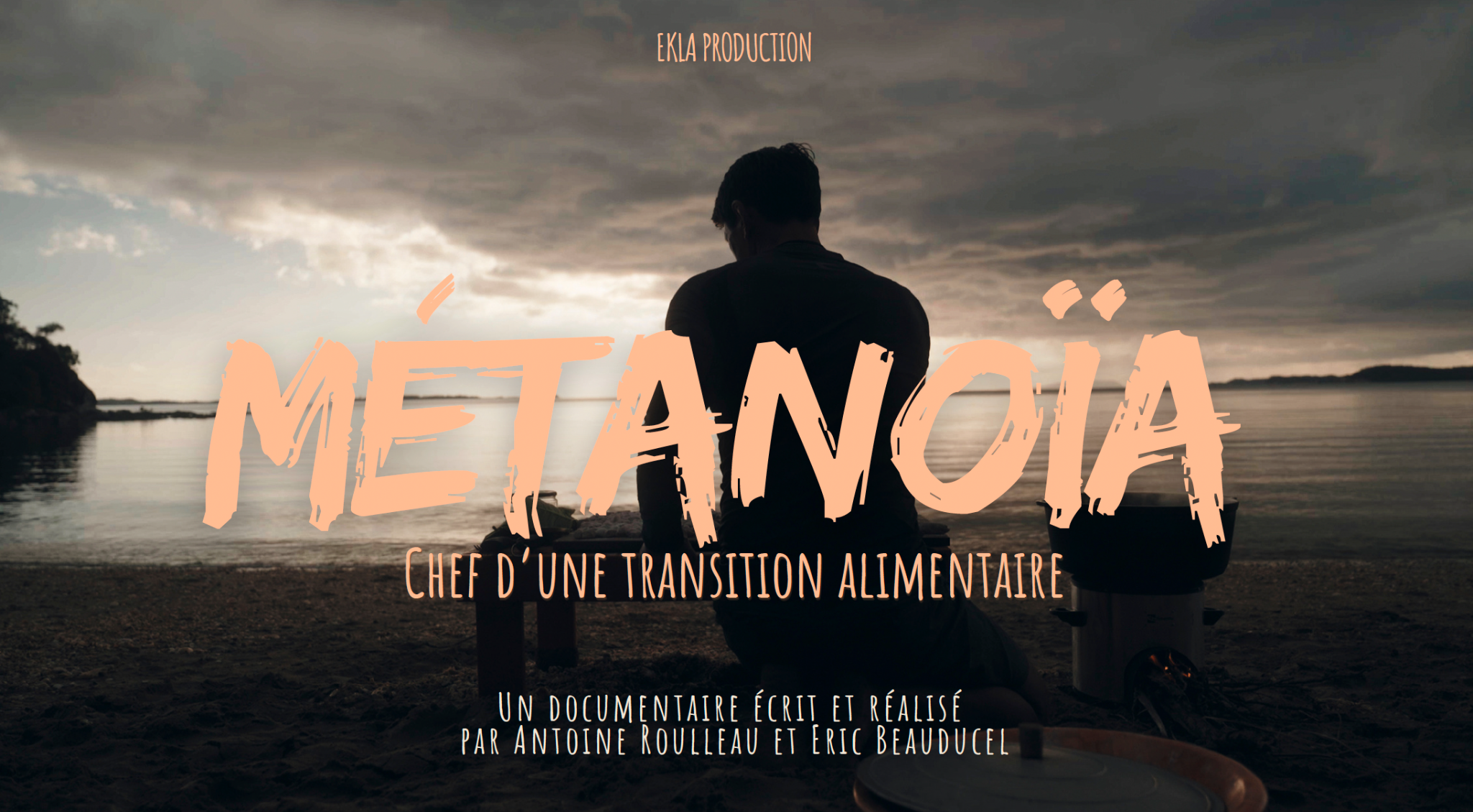 Visuel du projet Metanoia